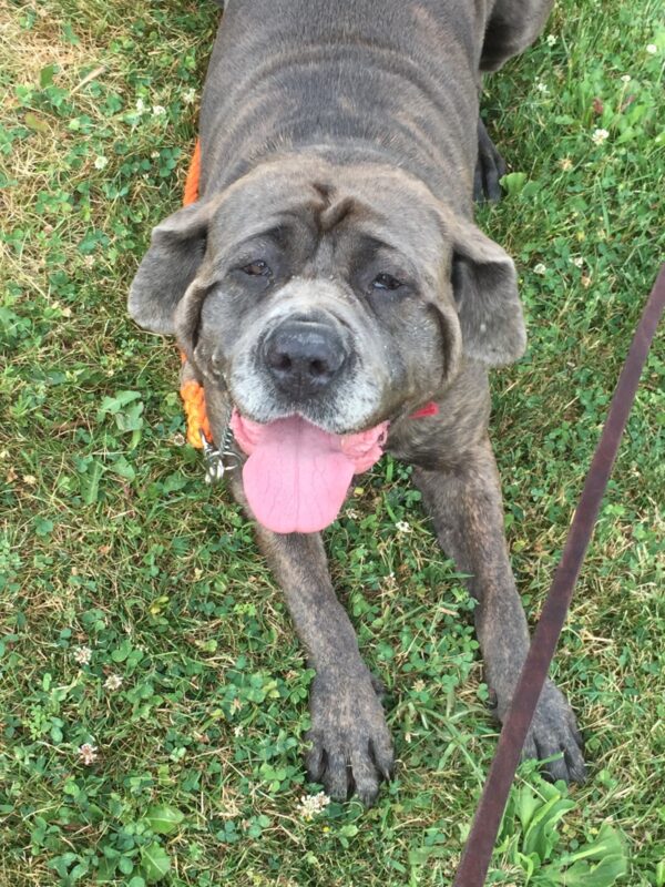 Contact The Buster Foundation