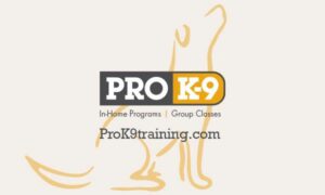 Prok9 logo
